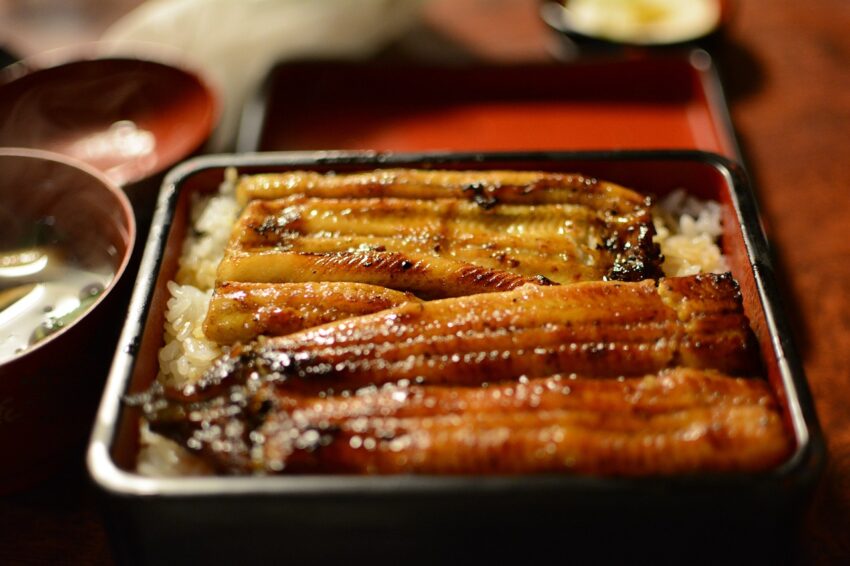 unadon eel japanese food eel eel 645641