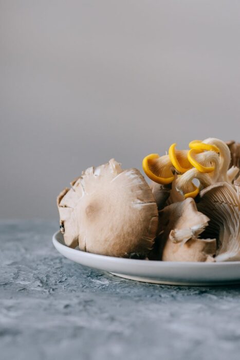 Fresh harvested oyster mushrooms placed on table