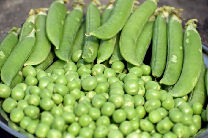 peas, green, vegetable